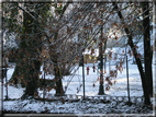 foto Parco Sebellin in Inverno